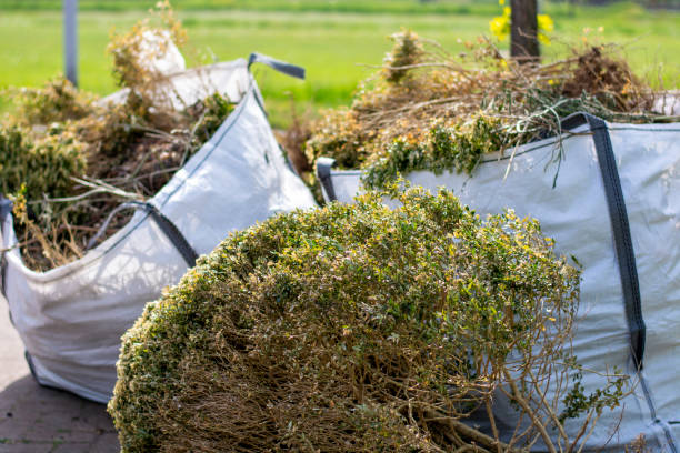 Best Commercial Junk Removal  in Baldwin City, KS